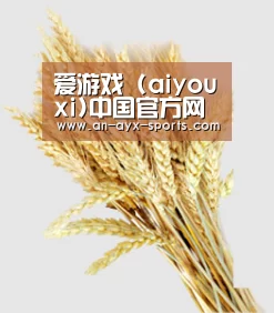 爱游戏 (aiyouxi)中国官方网站 | AYX SPORTS